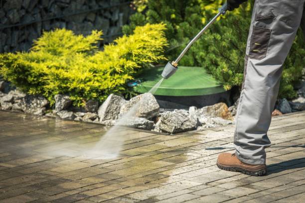 Best Warehouse Cleaning  in Buchanan, MI