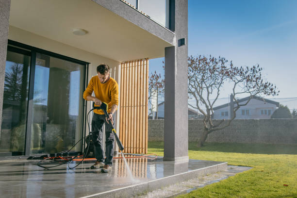 Best Roof Washing  in Buchanan, MI