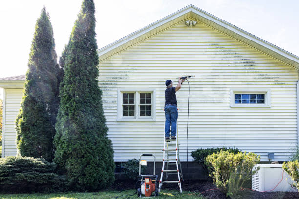 Best Patio and Deck Pressure Washing  in Buchanan, MI
